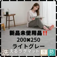 洗えるラグ 北欧 防ダニ 床暖房対応 オールシーズン 滑り止め 長方形