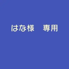 専用販売ページ