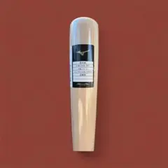 Item thumbnail for item 717ae917-fc59-4c24-ab61-473f074fd021