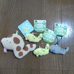 つぶらな瞳シリーズ　爬虫類