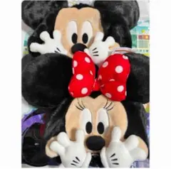 Item thumbnail for item cf9319fa-5de7-4863-a349-3663703cd027