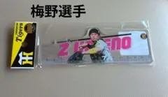 阪神タイガース梅野隆太郎選手ダイカット定規【新品】