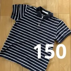 Natural Colmo ネイビーとホワイト ストライプ ポロシャツ