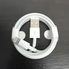 Apple純正 iPhone用Lightning - USBケーブル 1m