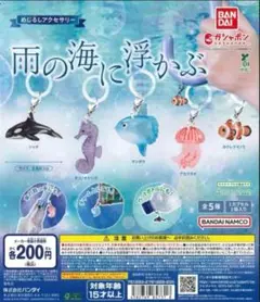 めじるしアクセサリー 雨の海に浮かぶ
