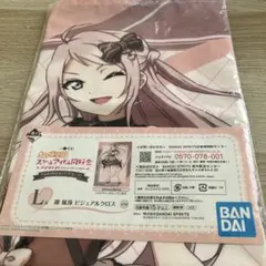 ビジュアルクロス　84 ×60