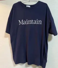ロゴ ネイビー Tシャツ Lサイズ