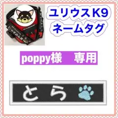 Item thumbnail for item 4ffbcba1-bca6-4d4c-8541-5d16ad4fbab0