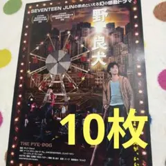 野。良犬 SEVENTEEN JUN フライヤー