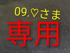 ポケモン　財布　【新品未使用】