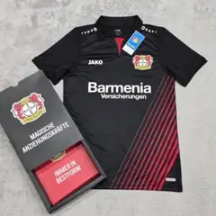 Item thumbnail for item 9ede901e-99f3-4490-8140-da2be9628df7