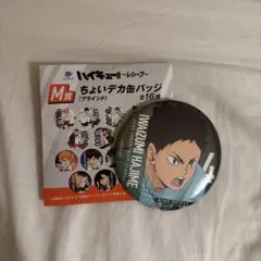 ハイキュー!! 岩泉一 缶バッジ