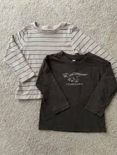 恐竜刺繍TシャツとストライプTシャツセット サイズ100