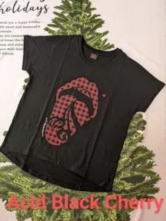 acid black cherry Tシャツ　クリスマス　ドルマンTシャツ 美品】アシッドブラックチェリー ドルマンTシャツ 半袖 バック