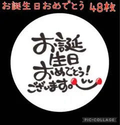 【OT01】お誕生日おめでとうシール お祝い プレゼント プチギフト 48枚