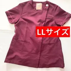 Item thumbnail for item 5d9f486d-a541-49f0-b90d-495137bd879d