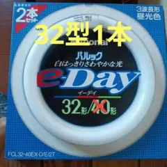 パルックe-day32型