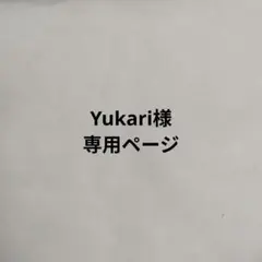 専用出品