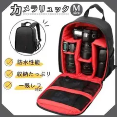 Item thumbnail for item 4974cf2c-f8a6-4a73-910e-5ec63d46f465