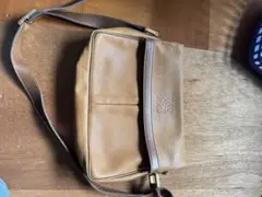 Item thumbnail for item 7d5a5df2-cde6-45a1-b659-f6c27a998385