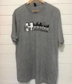 US古着 Harambee Youth Training Tシャツ XL グレー