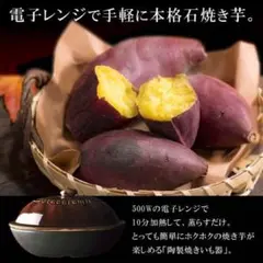焼き芋器 メーカー a いも 陶製焼きいも器 電子レンジ jh133天然石