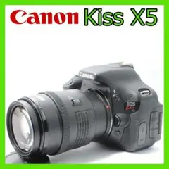 Item thumbnail for item 955e1584-ee13-4c65-82e9-cf4f06de334e