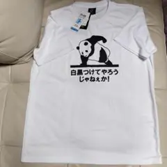 吸水速乾　パンダ　Tシャツ　おもしろTシャツ