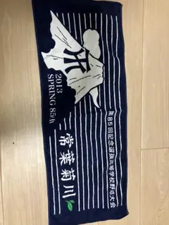 【美品】常葉菊川高校記念タオル