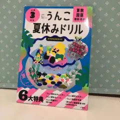 90 うんこ夏休みドリル 小学3年生　未使用品②