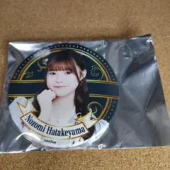 AKB48 畠山希美 缶バッジ