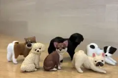 ふり向けば君が犬 約束 6種