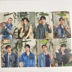 stray kids Hollow 初回限定盤 A 封入 トレカ ② 8種コンプ