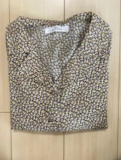 Item thumbnail for item 0149406d-63a3-442a-9d33-ac8a2147c18d