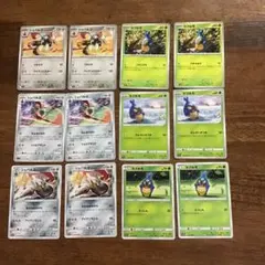 ポケモン　シュバルゴ　カブルモ　　　　　☺︎