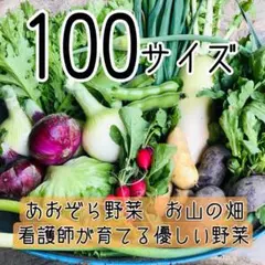【100サイズ/常温】看護師が育てる優しい野菜詰め合わせ 採れたて野菜詰合