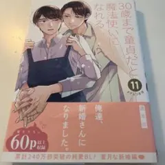 30歳まで童貞だと魔法使いになれるらしい(11)