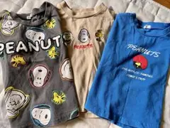 PEANUTS スヌーピーTシャツ 3枚セット