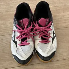 Item thumbnail for item ff4009f4-a7cc-4c43-9e3f-1a7e0c2f9c8b