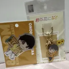 Item thumbnail for item a4352580-f424-4452-8c5f-801f3c84bc2a