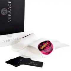 Item thumbnail for item 5c79e16b-fc7e-4195-bfdd-be8d5c4454ed