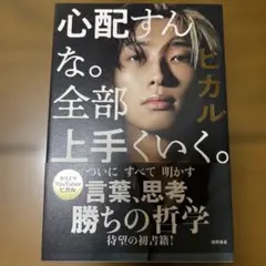 ヒカル 「心配すんな。全部上手くいく。」シール付き