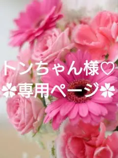 トンちゃん様♡専用ページ.。.:*♡✿ฺ