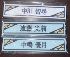 Item thumbnail for item 842fbc53-c42a-4b60-8966-811cda88de10