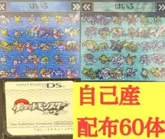 ポケットモンスターホワイト　自己産配布60体
