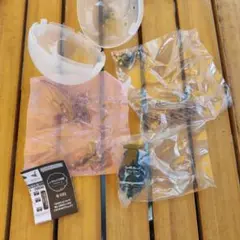 いきもの大図鑑　アドバンス　セミ01 ミンミンゼミ