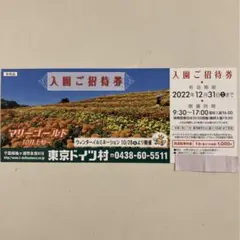 最新 東京ドイツ村 入場ご招待券 2022年12月31日迄 1枚 優待券 割引券