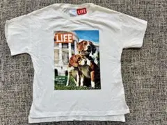 ZARA 122cm size7 LIFE Tシャツ白