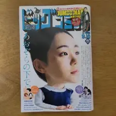 ビッグコミック 最新号