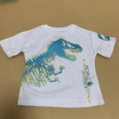 ジュラシック・ワールド Tシャツ 3T